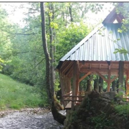 Eco Camp Dzogaska Vrela Hotel Pljevlja Exterior photo