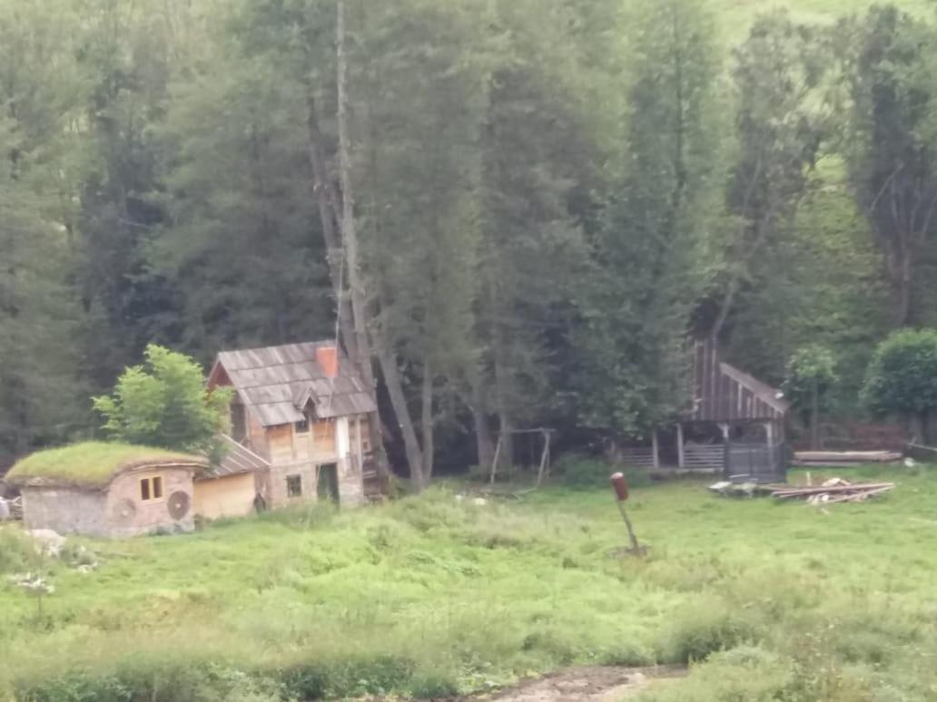 Eco Camp Dzogaska Vrela Hotel Pljevlja Exterior photo